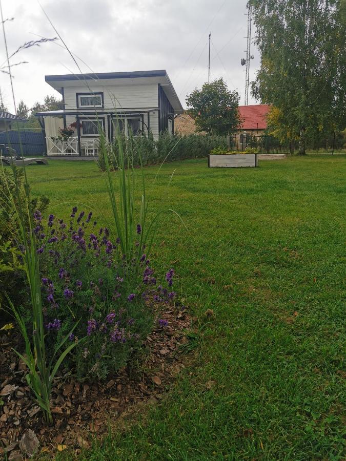 Sapni Villa Kolka Exteriör bild