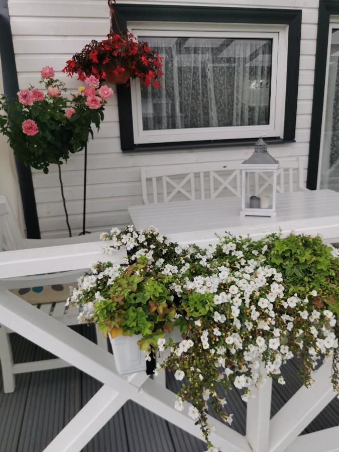 Sapni Villa Kolka Exteriör bild